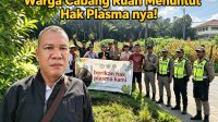 IMG-20260611-WA0036