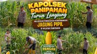 IMG-20260614-WA0147