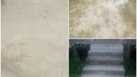 IMG-20260807-WA0020